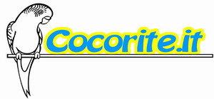 www.cocorite.it